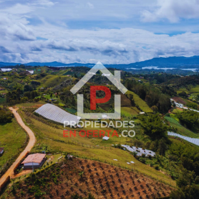 Lote en el Peñol, Antioquia en venta 24.000 m2